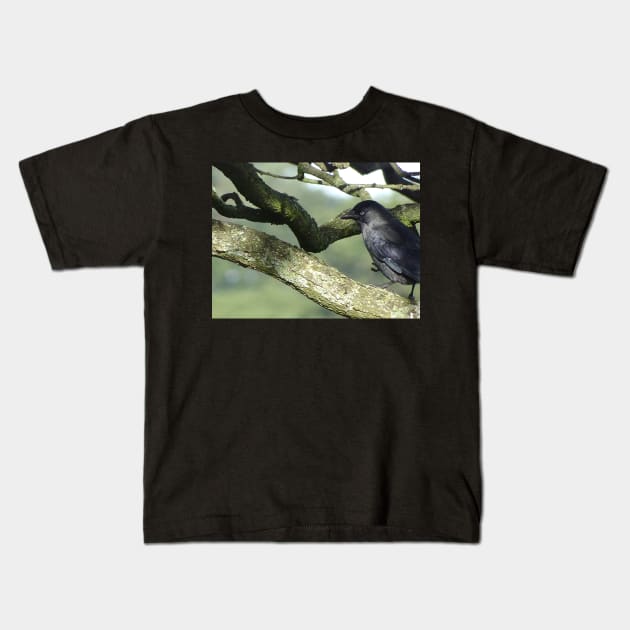 UP UP IN THE TREE TOPS Kids T-Shirt by dumbodancer